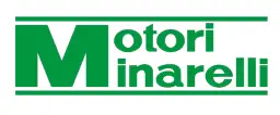 Motori